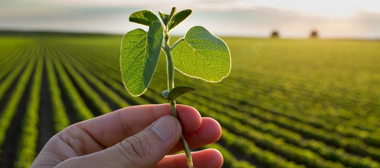 Qual é o futuro do seguro rural no Brasil diante das mudanças climáticas?