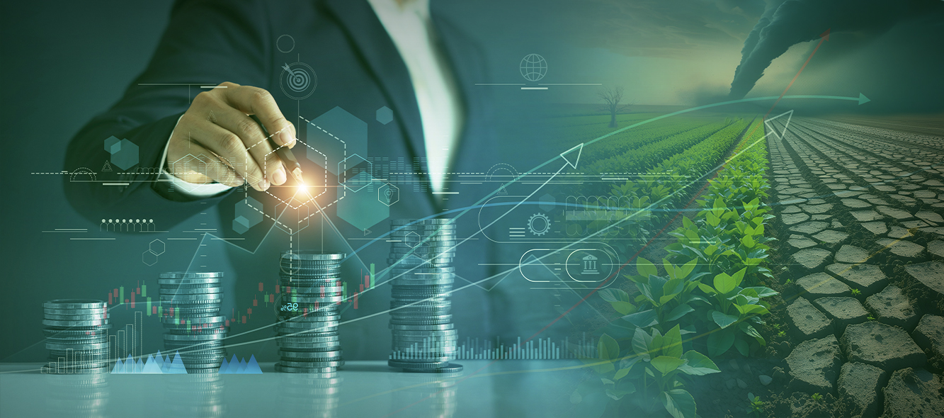 Como a tecnologia tem sido usada pelas empoderadoras na precificação do risco
